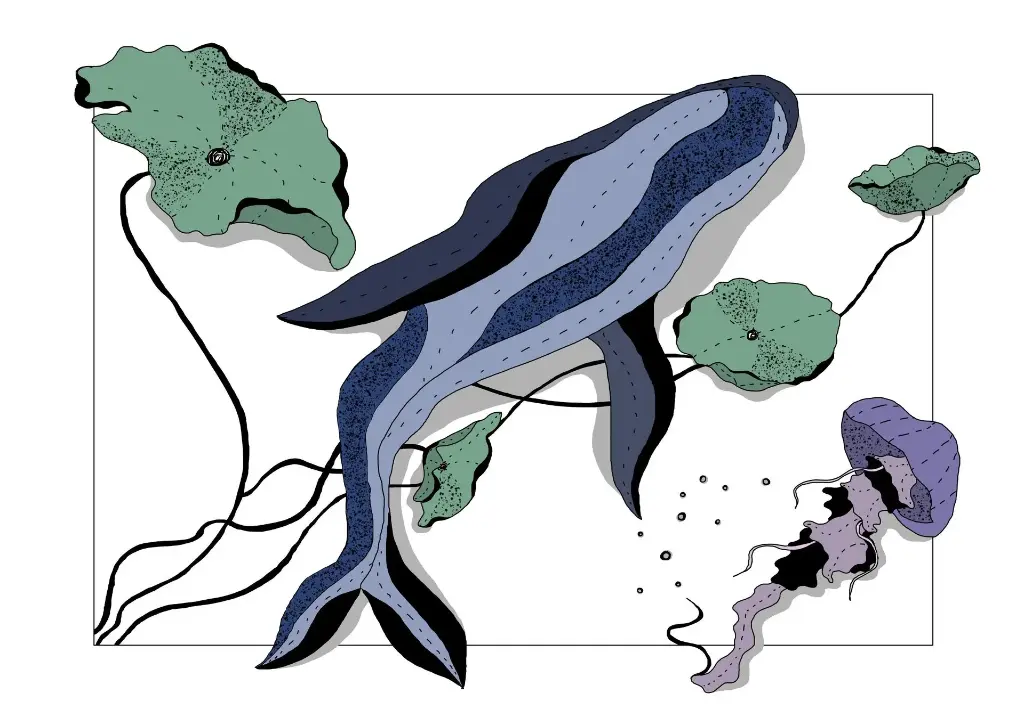 Traversée Aquatique