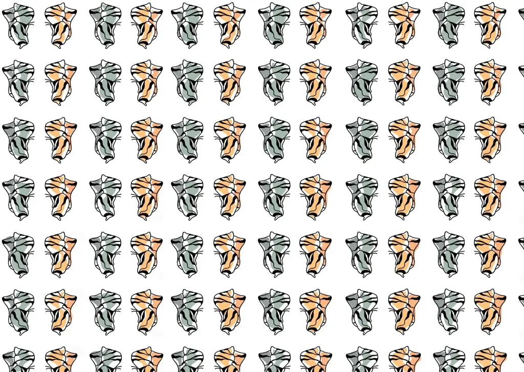 Butterfly Wallpaper 